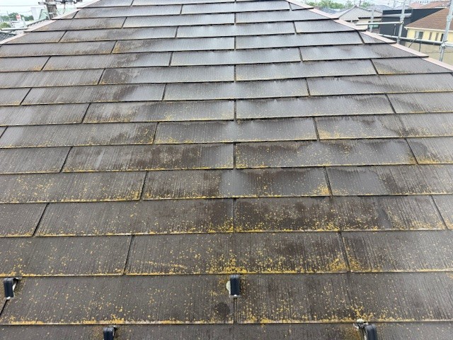 屋根コケ